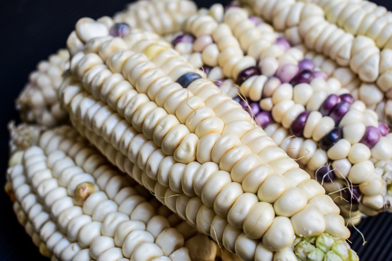 10 Delicious Sides for Grilling Season